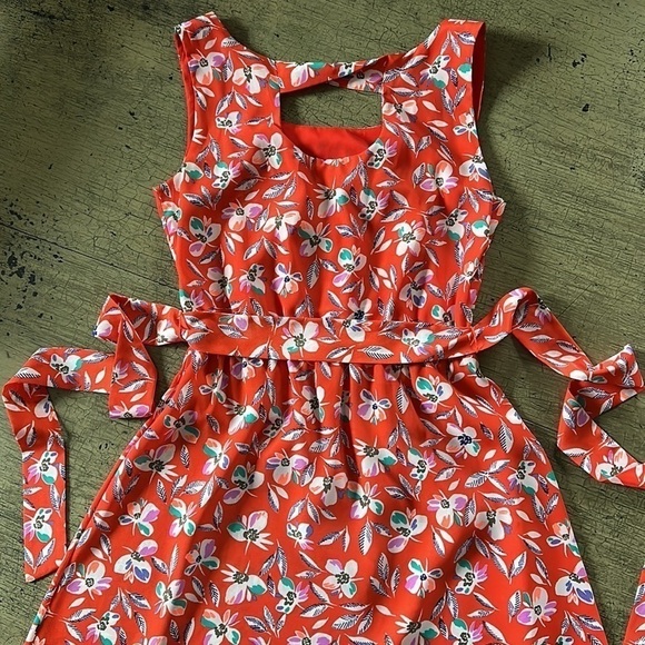 Gap Floral Print Cinch Waist Dress - Blaze - Picture 15 of 15